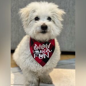 Snow much fun graphic red and black buffalo check bandana size medium